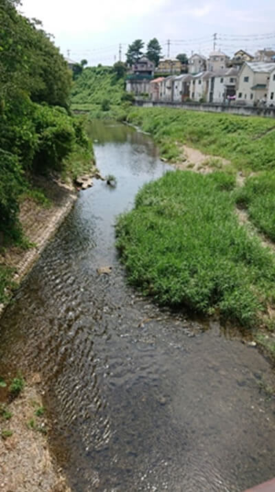 あきる野市平井川