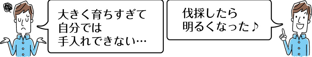 木が大きくなって伐採したい