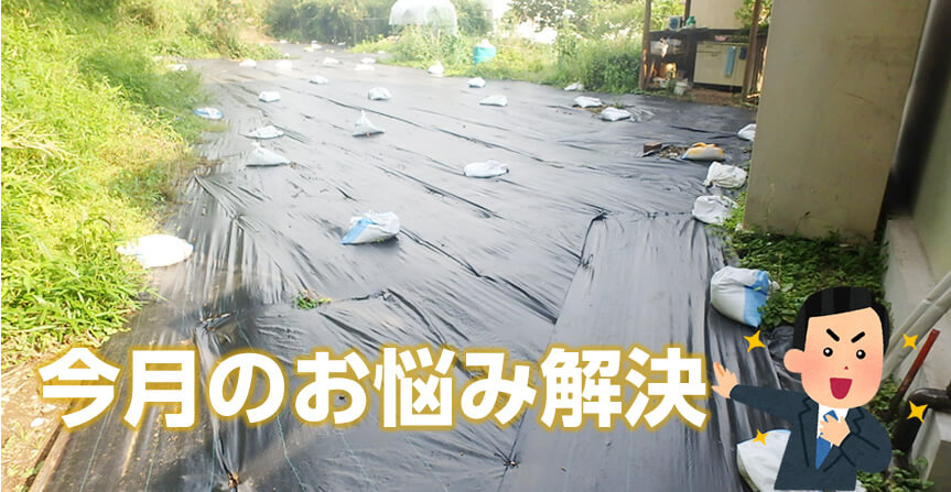 防草シート