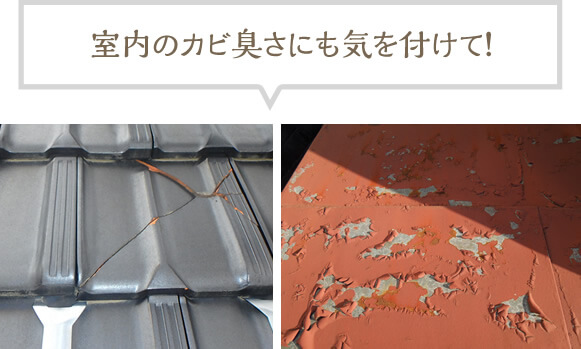 屋根の点検箇所では、室内のカビ臭さにも気を付けて！
